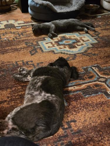 50b740b1-cf0b-4a44-b1d0-0c0c110c0a10