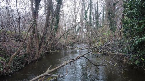 dji_fly_20251130_150016_689_1764512300650_photo_optimized