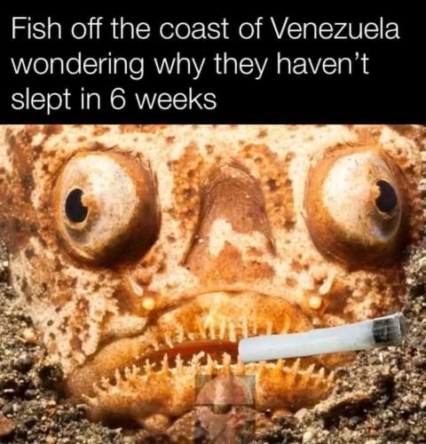 5d429a8ac266c19afdf8254fa4174d83_1024