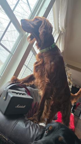 FB_IMG_1766692193357