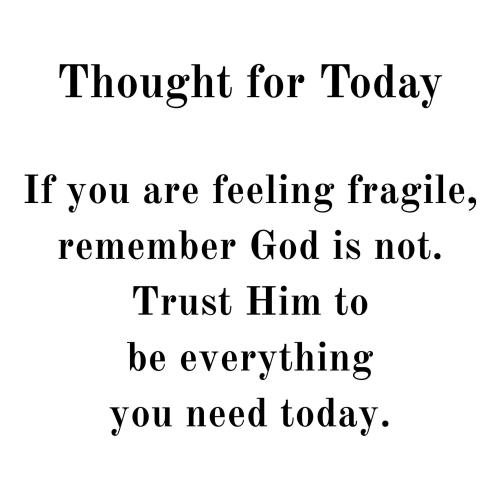 600281109_878569998010681_950282421315838613_n