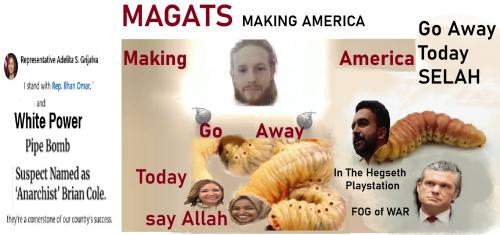 maggots