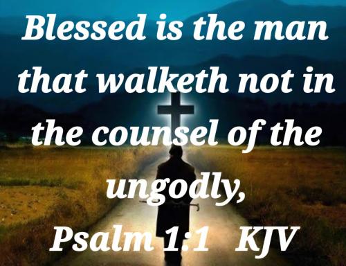 95a6399e-0d7f-42f3-a664-06dbbfcbbb0e