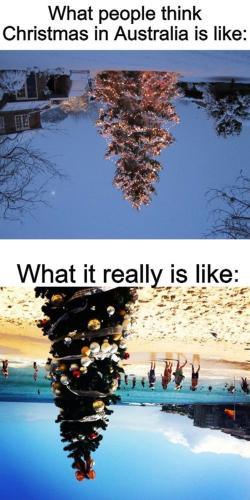 Christmas-memes-9-67515480ef7ab__700