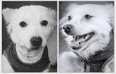 c01ec467-0542-4433-b0d7-55f5662da7ba