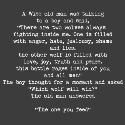 19a1331b4edb0845cbe81b2c19746f08