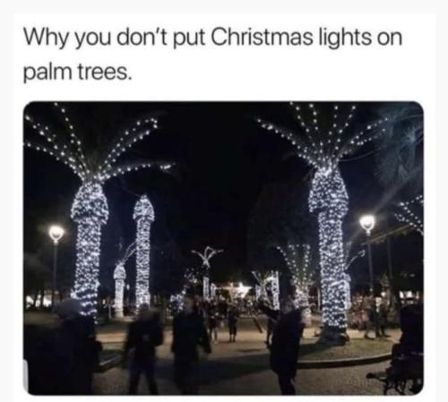 Screenshot_20251230_083909_Outlook