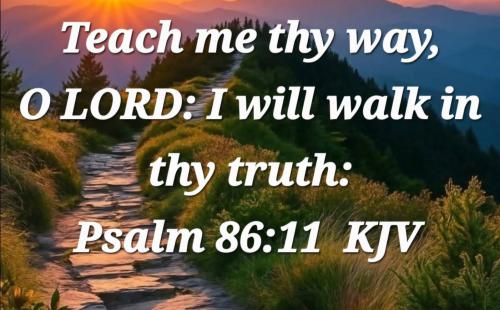 3f3a6844-aa49-4b1f-bfe7-eda8fecd20b0