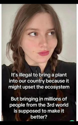 Screenshot_20251216_202848_X