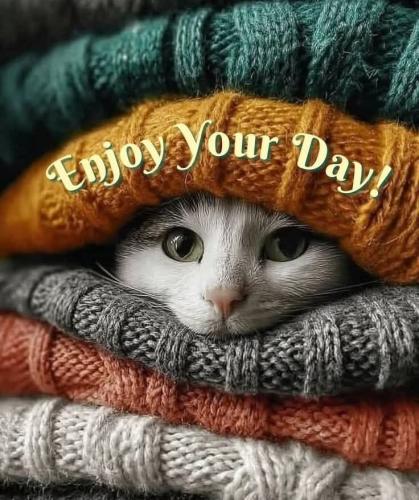 2aae4740e69bc52de24aec2c92ac32f5