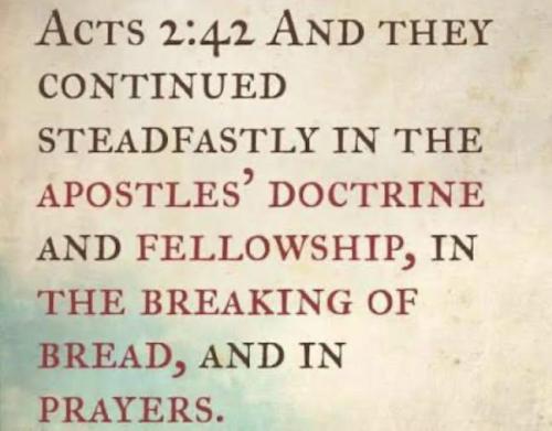 IMG_20251202_132417_662