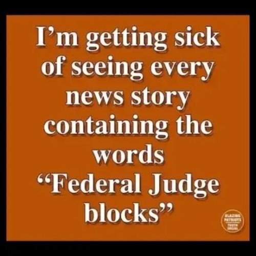 TESTHUB_photos_users_KPBY8Tc46ldqLjWXf6bqxqOW3AR2_-OfV-ux9jc8c_v0fC8my_img_rsz__1100x1100