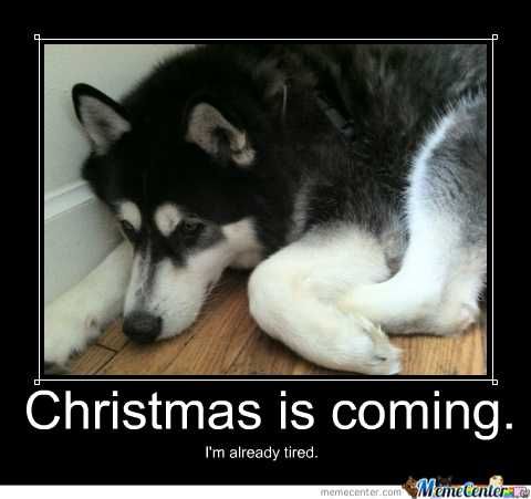 ZCzLxiOhaRL3i8DQHqQe_13_7b09ddc0cc2f8277392b92687d89812c_image