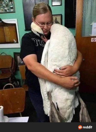 RDT_20251211_1026137877737683407029797