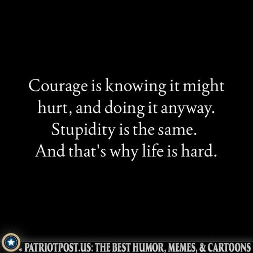 000000000000000000000000000000000000000000000000000000000000000000000000000000000000000000000000000000000000000000000000000000000000000000000000000000000000000000000000000000000000000000000000000000000000000000aav