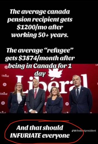 IMG_20251208_195048_411