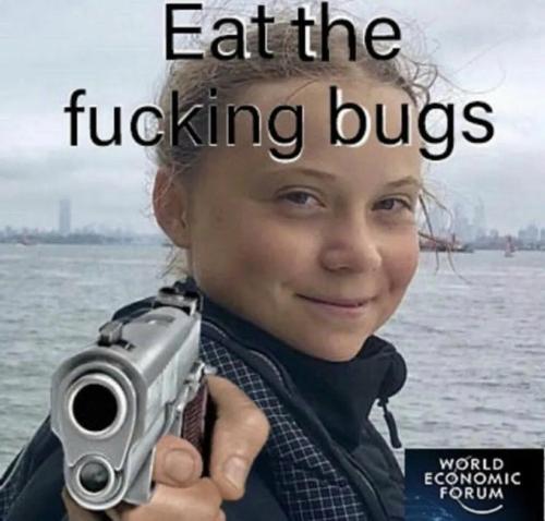 eat-the-bugs