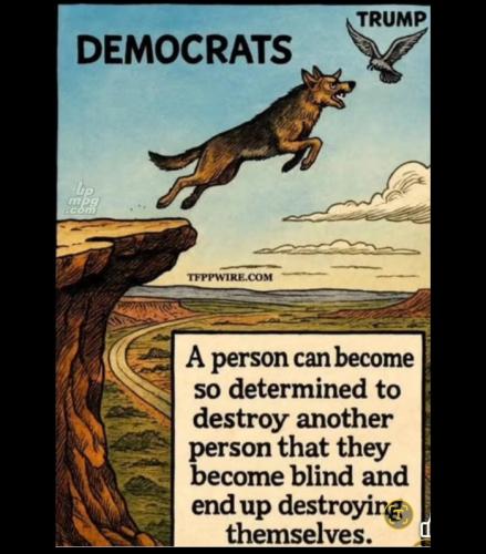 main-qimg-8eb04934df56dc62303ba84bb7197fee