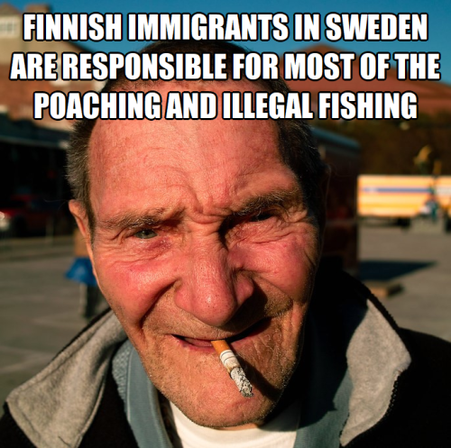 Finnish immigrants in Sweden are responsible for most of the poaching and illegal fishing