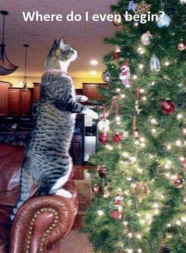 ae00e042f9217b95643eee1172c188a5