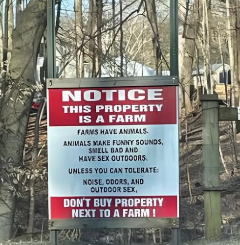 594070635_1297080129132300_6767698067164647779_n