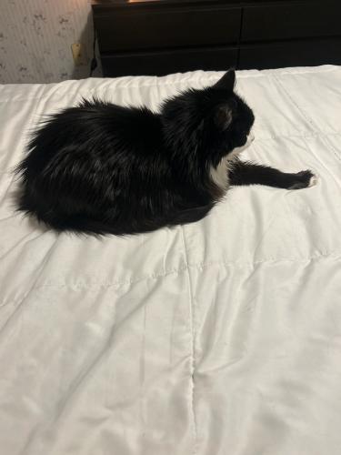 C6CE9D1D-4CE2-4F70-937C-2D4A790DC861