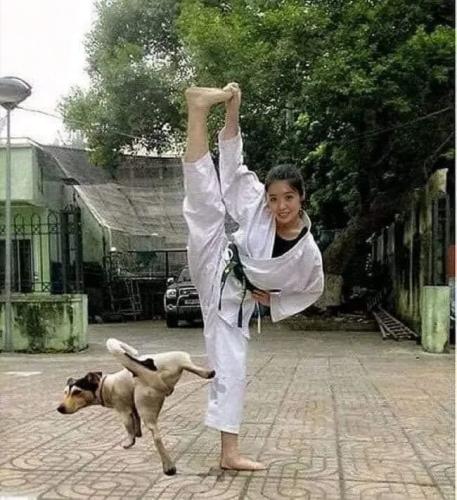 6a1e7456f6c5da926b6aad6cae4af846