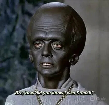 how-did-you-know-i'm-somali