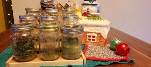 Screenshot_20251118_055657_Gallery