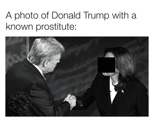 a4eed03188e9738520f9ff254858d14601b9d013a8119e770545ddf50275f267_1