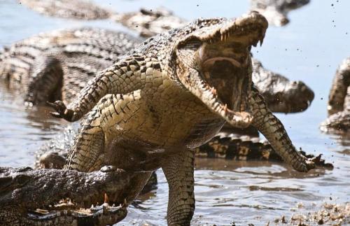 RDT_20251210_1414082558067284724921500