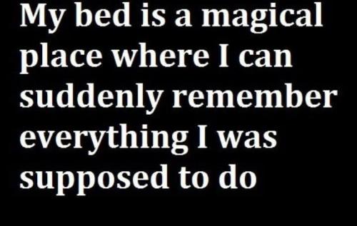 FB_IMG_1764389166615