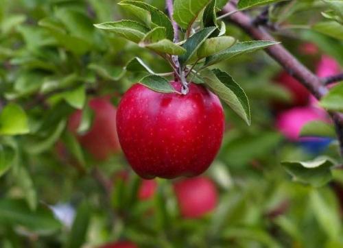 7d491cb8-e4b7-484d-a2c8-c8fb97354e89