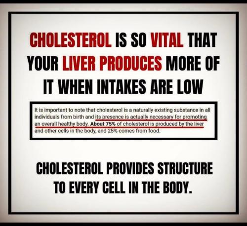 590419383_10231831233385979_3053859428075350187_n