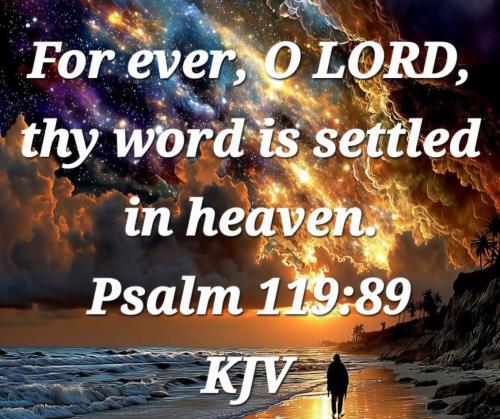 11789e4b-b02c-4159-8351-d312757d4f32