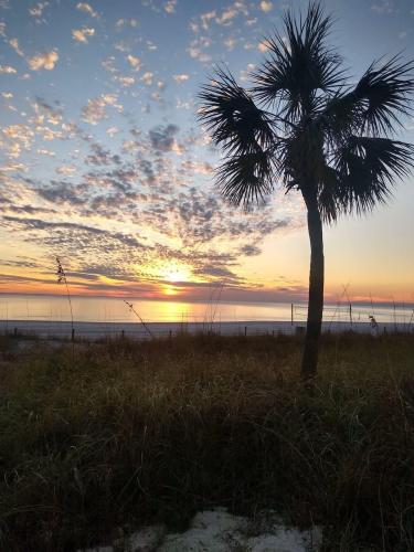 8c239872-41f5-497a-a788-0502f399c725