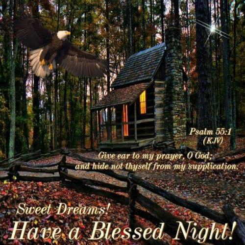 d9cd039913865625e6e884ca71c42487