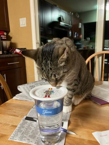 CDC00FF5-EF4A-4EF8-94EC-B17A4A63E0A5