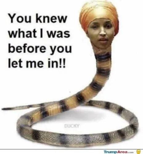 TESTHUB_photos_users_KPBY8Tc46ldqLjWXf6bqxqOW3AR2_-Ohmp25Foy2Cn0loSgxJ_img_rsz__1100x1100