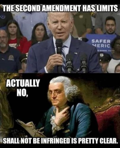 it-always-funny-that-grandma-misses-a-well-regulated-militia-v0-8iw4zinaflxc1