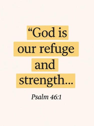 IMG_20251228_112837_232