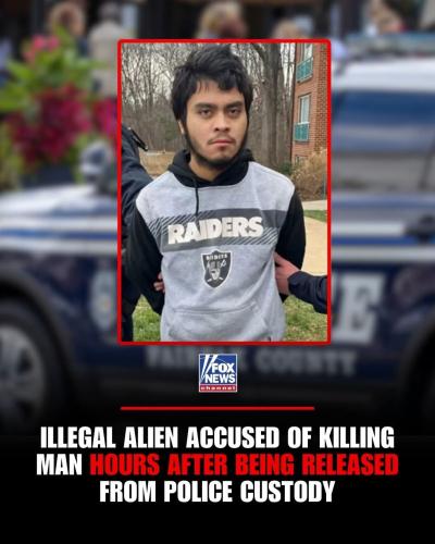 FB_IMG_1766167277417