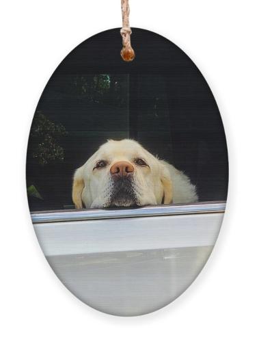 Screenshot_20251213_082003_Brave