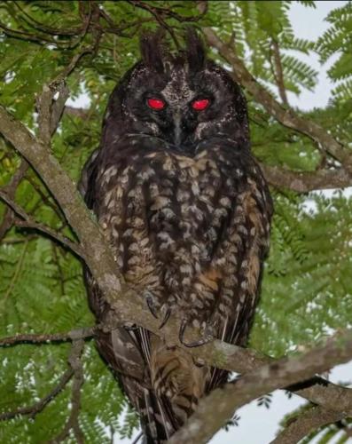 RDT_20251230_0954201982865525752694438