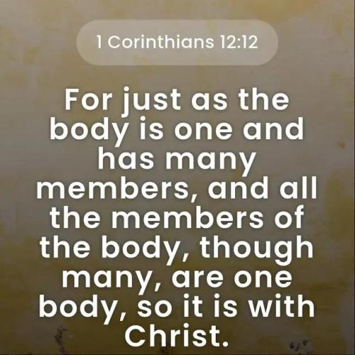 IMG_20251210_105943_584