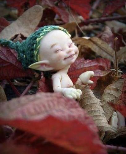 ,          ,  0424775766_746362