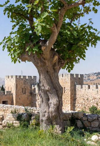 Screenshot_20251214_115458_Grok