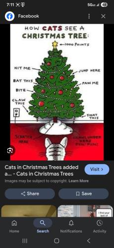 Screenshot_20251206_191122_Google