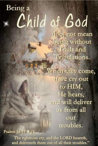 2a12049fd6baa0176fed9b2ff0835c97