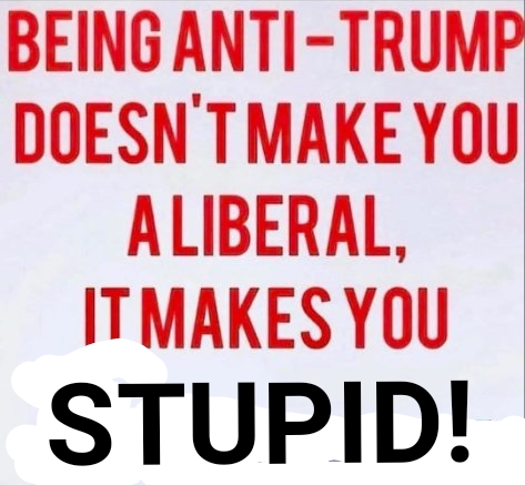 5f8006487fd1b2276a354680d9ca0d11_1024